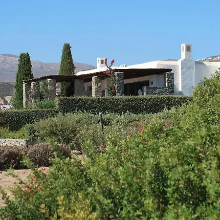 Vino - Cycladic Calm