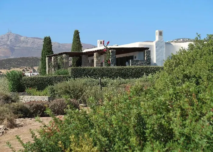 Vino - Cycladic Calm